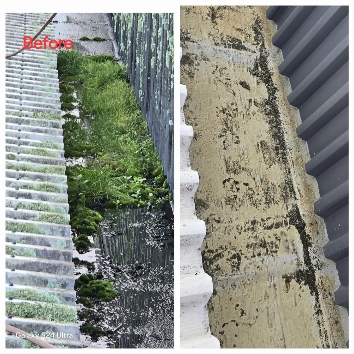 Corrugated roof, the source of most of it