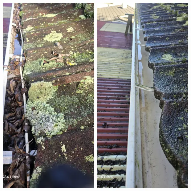 Gutter choked with moss, cleared and flushed