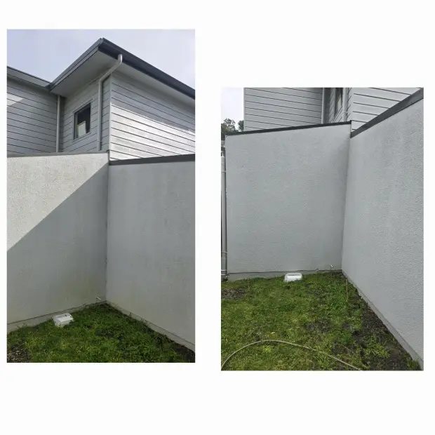 Plaster wall and courtyard