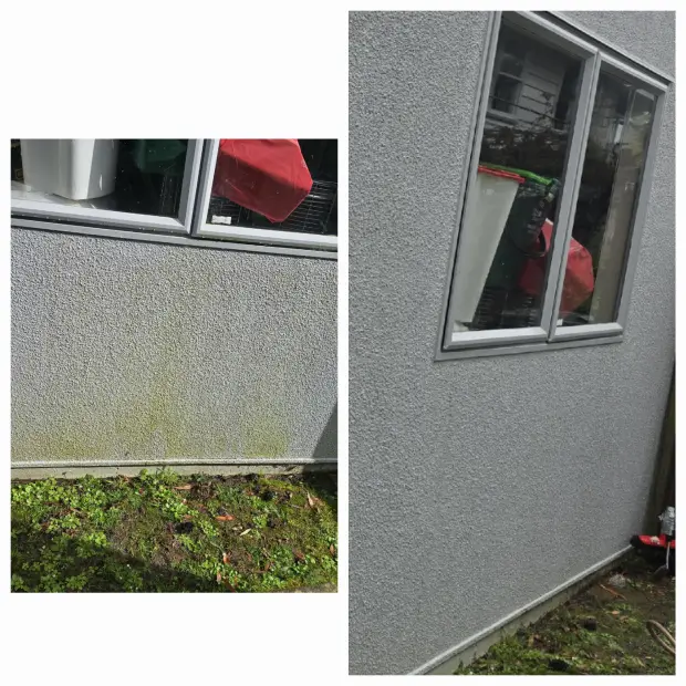 Plaster cladding and joinery
