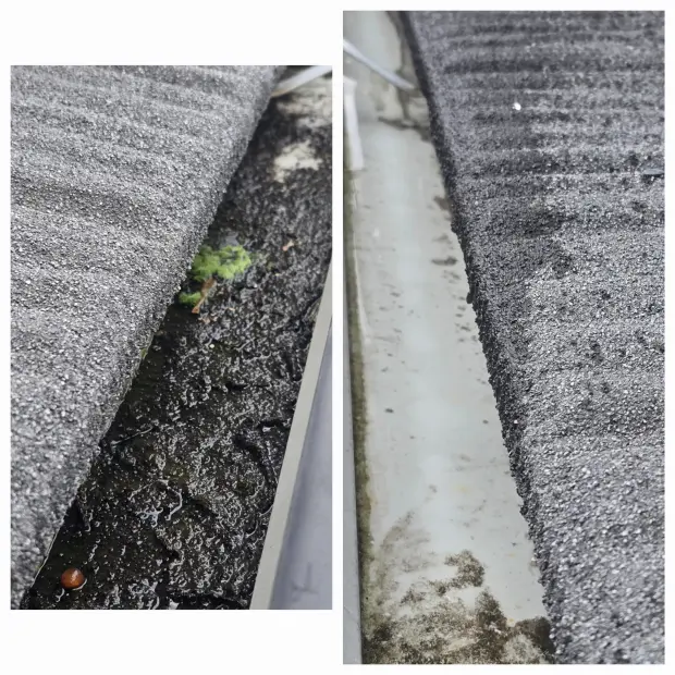Concrete path and edging