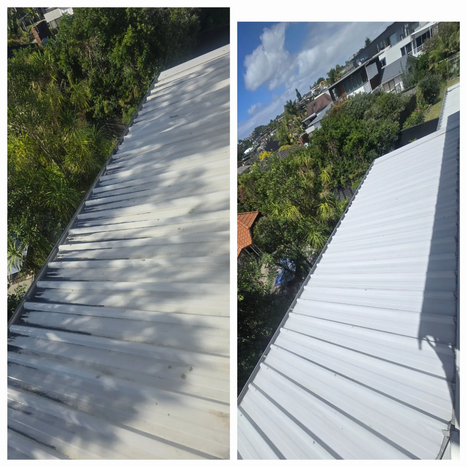 Longrun roof, full pitch