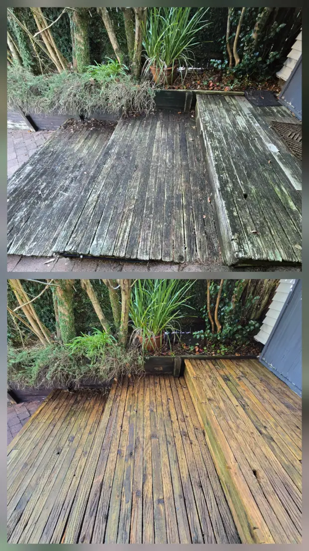 Deck and planting