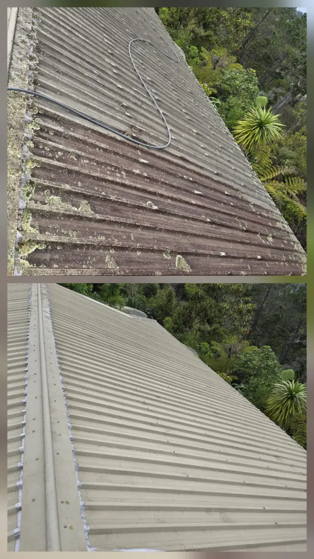 Roof treatment