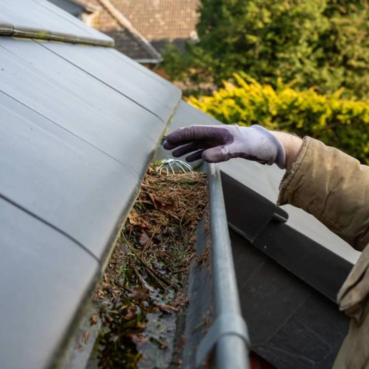 Gutter cleaning, before and after