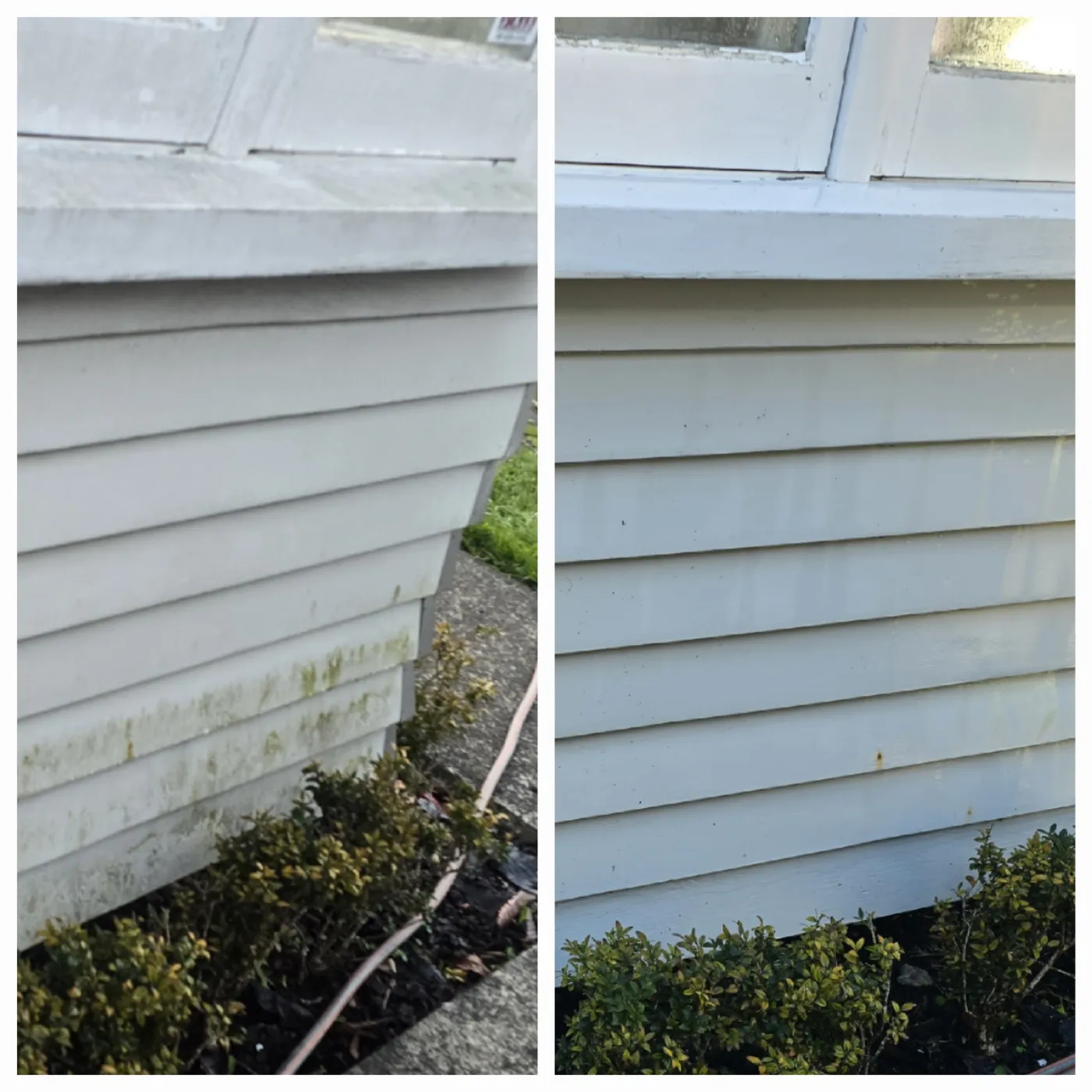 House wash on weatherboard, before and after