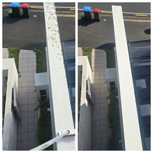 House wash before and after
